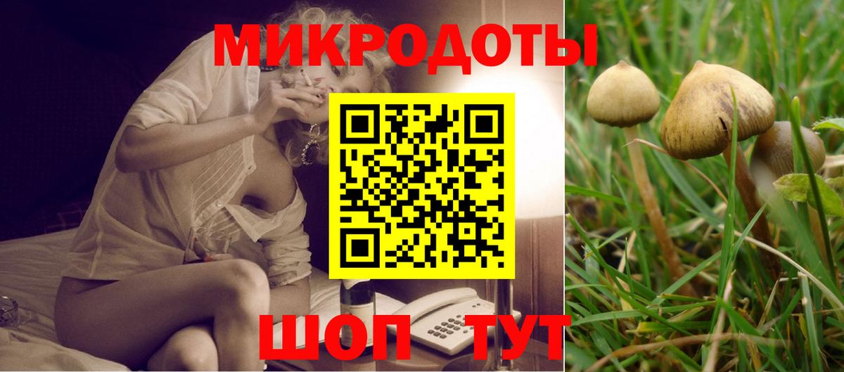 Псилоцибиновые грибы Psilocybine cubensis Отрадное
