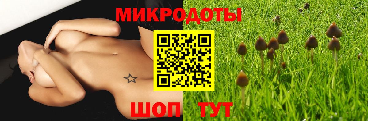 Псилоцибиновые грибы мухоморы  Вход с VPN  Отрадное  Псилоцибиновые грибы мицелий 